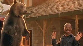 Dr Dolittle 2 2001 Movie Explained  Movie Explanation [upl. by Annairdna]