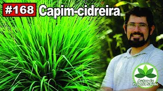 Autor da própria Saúde Capim Cidreira [upl. by Ariam]