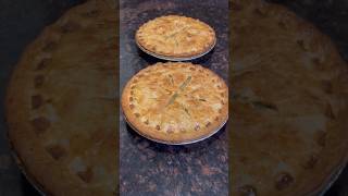 Turkey Pot Pie food meat turkeypotpie [upl. by Megen154]