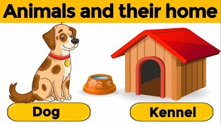 Animals and their homes  Animals home  Home of animals  Animal homes  Animal shelter for kids [upl. by Worth]