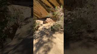 Exploring Anasazi Ruins  Colorado hiking nationalpark adventure mountains [upl. by Braasch]