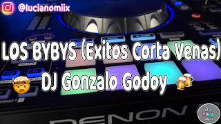 LOS BYBYS Exitos Corta Venas  DJ Gonzalo Godoy [upl. by Oinimreh]