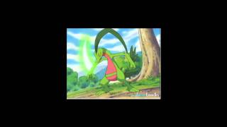 Treeko Evolves into Grovyle [upl. by Athenian]