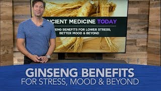 Ginseng Benefits for Lower Stress Better Mood and Beyond [upl. by Tad435]