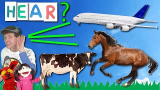 What Do You Hear Song 2  Learn With Matt  Learning Vehicle and Animal Sounds English Kids [upl. by Service]