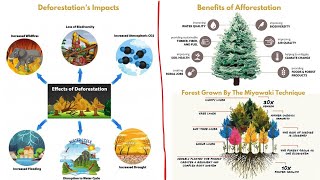 Deforestations Impact amp Afforestation Techniques Deforestations Cry amp Afforestations Promise [upl. by Akcinat]