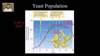 Ecology Part 4  Population Ecology [upl. by Jedthus]