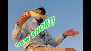 Fly Fishing Texas News Report and Events This Week  shorts [upl. by Avruch838]