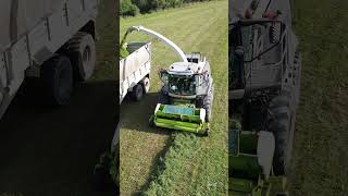 Hill silage with Claas Jaguar 980 Fendt New Holland Case IH  Harvesting of sown alfalfa  2024 [upl. by Undis]