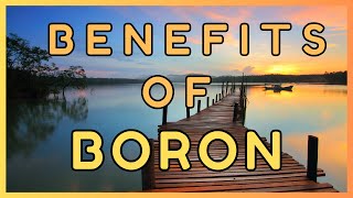 Boron Benefits  Supplement may cut your risk for over a dozen diseases in half [upl. by Eimareg437]