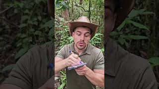 Tuto  BOWHUNTING 🏹 mentawai tribe bow traditional culture plants forest tutorial nature [upl. by Jeffry]