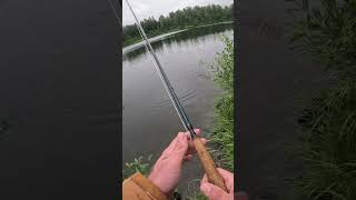 fisherman sportfish fishing sport fish angler trout flyfishing alaska troutfishing lake [upl. by Yssac30]