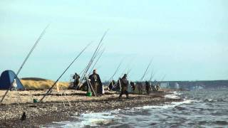 Fehmarn    Püttsee    Angler am Nachmittag [upl. by Wystand]