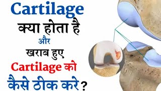 Cartilage क्या होता है खराब हुए Cartilage को कैसे ठीक करें  cartilox go tablet review in hindi [upl. by Electra769]