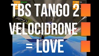 TBS Tango 2 and Velocidrone Equals Love ❤❤❤ [upl. by Amme]