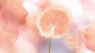 PANTONE 131023 Peach Fuzz the Pantone Color of the Year 2024 [upl. by Ardnod]