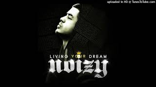 Noizy Feat Mali G  Dridhet Veni HQ [upl. by Dardani]