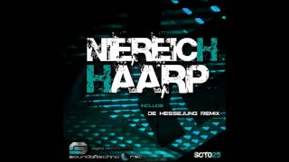 Niereich  Haarp De Hessejung Remix [upl. by Eirojram]