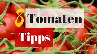 8 Tipps für eine große Tomatenernte  Erfolgreich im Hochbeet Tomaten ziehen [upl. by Pattison]