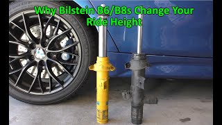 Why Bilstein B6B8s Change Your Ride Height [upl. by Assiron611]