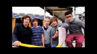 One Direction Announces Book and Plays at an Amusement Park [upl. by Neeloj281]