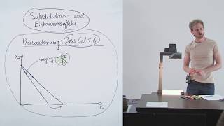 Substitutionseffekt und Einkommenseffekt 1 Wichtige Grundlagen 917 [upl. by Zoller]