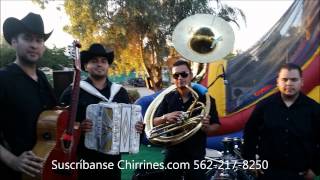 El Corrido de Nayarit con Tuba y Bateria  Erick Castillo Norteno Banda Los Angeles Chirrines [upl. by Nahpos365]