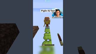 Minecraft Piglin IQ Test Clementdav Vibe [upl. by Michele459]