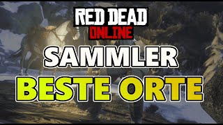 BESTE ORTE FÜR DEN SAMMLER Sammler Guide  Red Dead Online [upl. by Auqinal475]