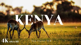 The Most Epic Kenya amp South Africa Adventure 4K  Cinematic Travel Film 2024 southafrica [upl. by Sirenay767]