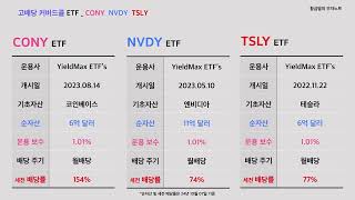 NVDY 70 CONY 1 TSLY 12 [upl. by Jourdain323]