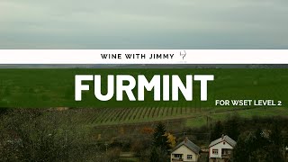 Grape Varieties  Furmint Intermediate Version ideal for WSET Level 2 Wine [upl. by Strickman]