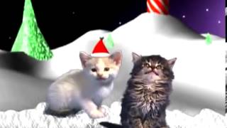 gatos cantando en navidad [upl. by Namara]