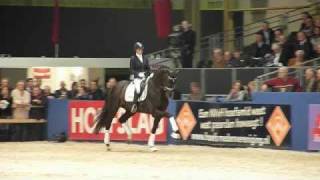 wwwreitschulesandbrinkde Bretton Woods Stallion Show sHertogenbosch 2011 [upl. by Ahsinawt]