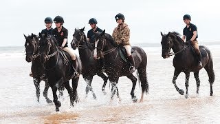 360 video Household Cavalry on Holkham Beach [upl. by Nellac289]