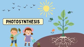 Photosynthesis Process How Plants Make Their Own Food  Science For Kids [upl. by Eibot236]