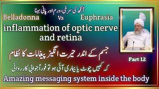 Inflammation of optic nerve and retina belladonna vs Euphprasia  amazing message system [upl. by Constancy]