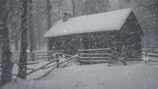 Howling Wind amp Blowing Snow  Heavy Wind Sounds for Sleep  Snow Storm  Snowstorm at Wooden Cabin [upl. by Faline]