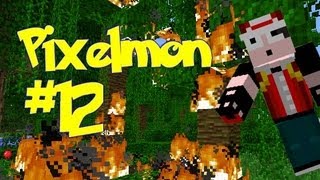 Minecraft Pixelmon  Episode 12  FOREST FIRE Pokemon Mod [upl. by Haney695]