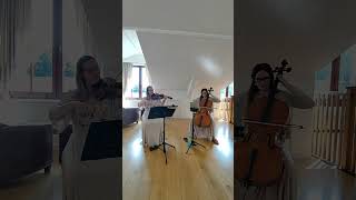 How Far Ill Go  from Moana performed by Serenity String Duo Worton Hall [upl. by Maggy858]