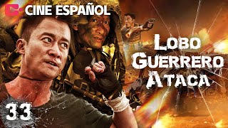 Fuerza Especial China lobo de guerra defiende su honor  Lobo Guerrero Ataca EP33  WuJing [upl. by Trinetta514]