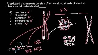 Telomeres Chromatids Chromatin Centromeres Genes [upl. by Hassadah262]