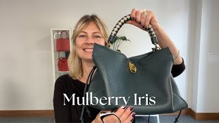 Mulberry Iris Review [upl. by Icart]