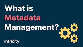 What is Metadata Management [upl. by Bail]