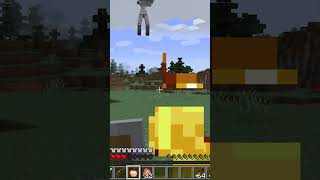 me vs mutant skeleton minecraft shots [upl. by Allenotna]