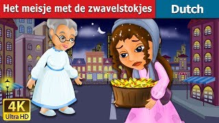 Het meisje met de zwavelstokjes  The Little Match Girl Story in Dutch  Dutch Fairy Tales [upl. by Beverlee]