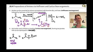 Syntheses of Amines II Hofmann and Curtius Rearrangements [upl. by Alfonso]