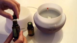 How to use a diffuser for your Essential Oils [upl. by Mylan]