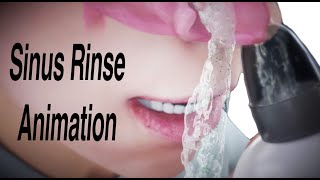 Sinus Rinse Animation [upl. by Chatav]