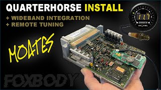 InDepth Install  MOATES QUARTER HORSE In Foxbody  Wideband Integration [upl. by Darrel]